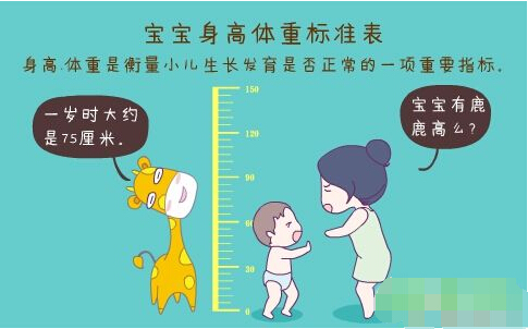 超聲波榴莲视频黄色APP正確測量方法標準身高體重表